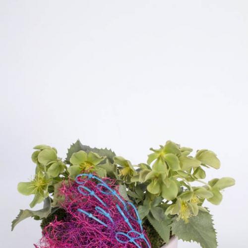 1409835114produkt-087.jpg
