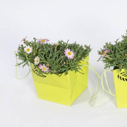 1409835114produkt-089.jpg