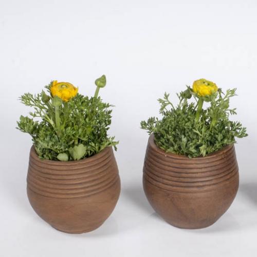 1409835114produkt-092.jpg