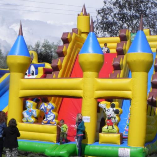 1409835432dscn7181.jpg